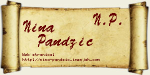 Nina Pandžić vizit kartica